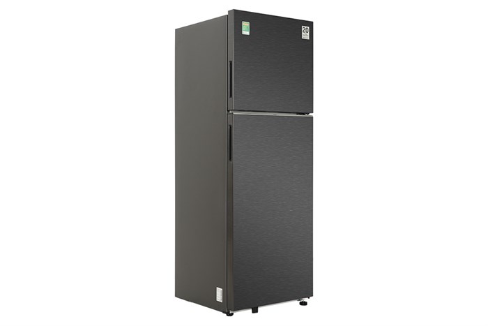 Tủ Lạnh Samsung Inverter 305 Lít RT31CG5424B1SV